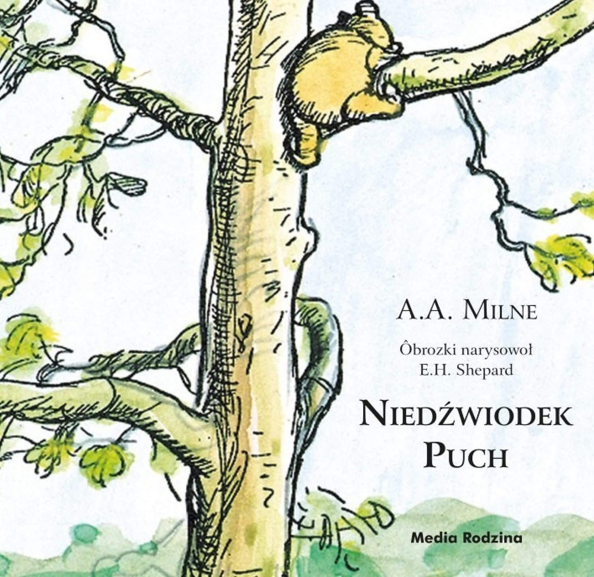 Byt Niedzwiodek Puch1 Byt Niedzwiodek Puch1