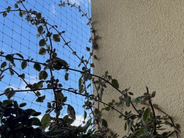 Trwa konkurs na najpiękniejszy balkon Trwa konkurs na najpiękniejszy balkon
